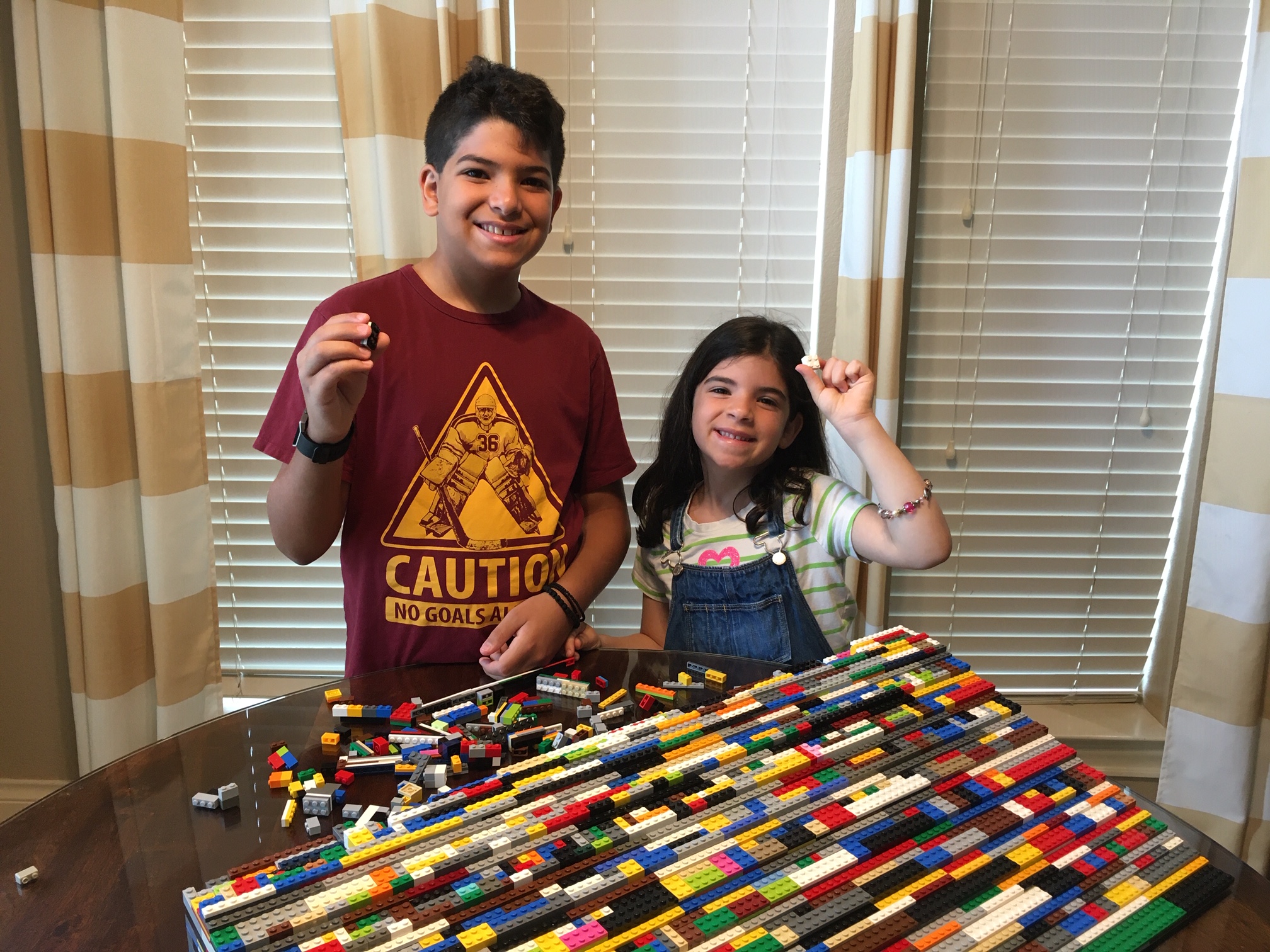 our pandemic summer project? Staying safe and building a lego ...